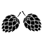 Hopfen1_64